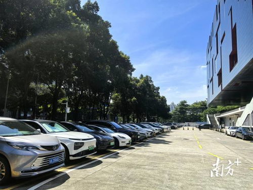 廣東省博物館回應車庫禁停新能源車 基于消防安全要求，非歧視性政策